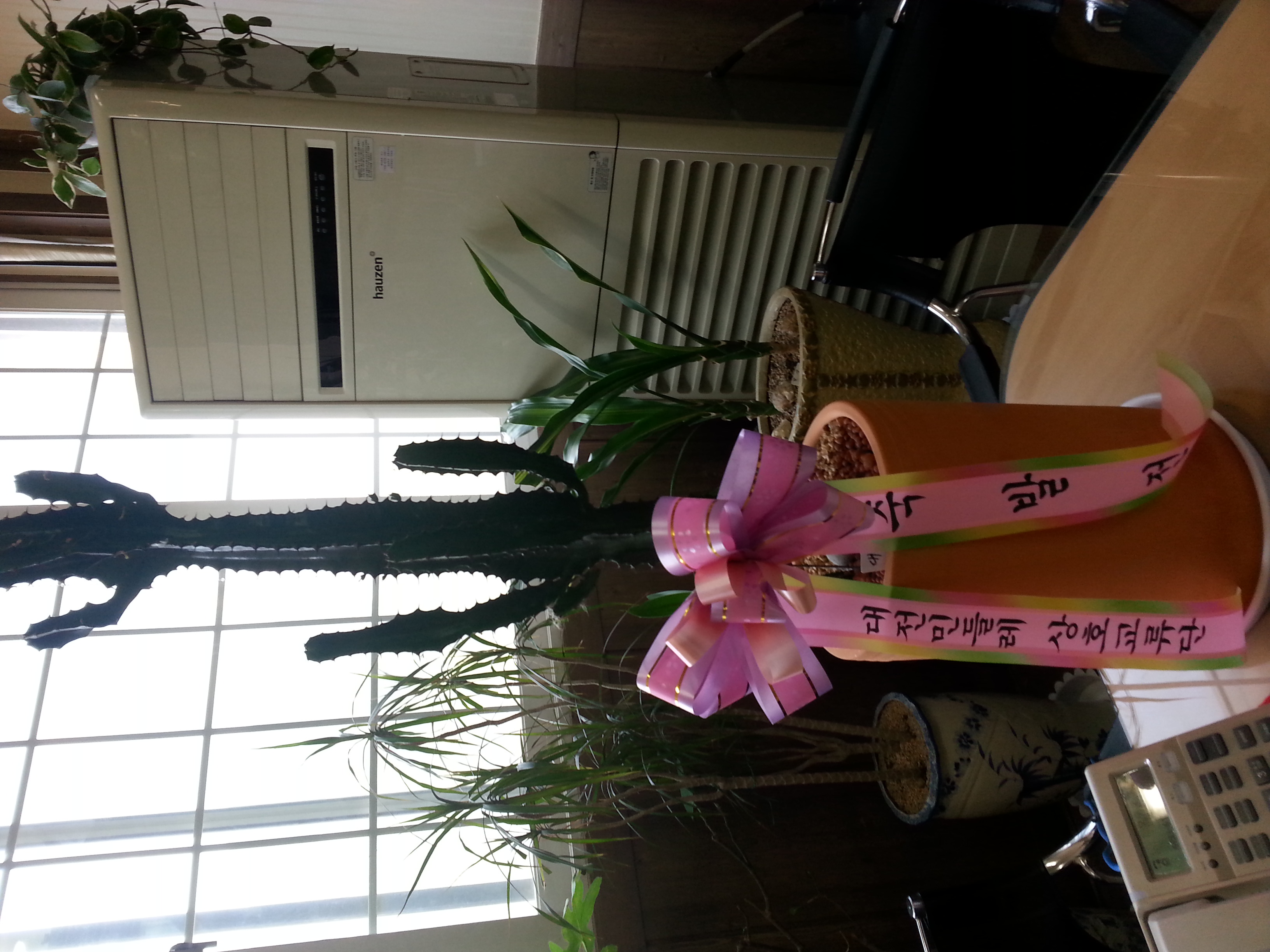 20130904_143830_1.jpg